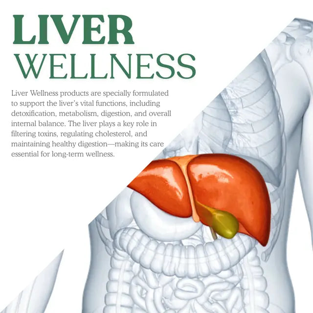 Ayurvedic Medicine for Liver Wellness