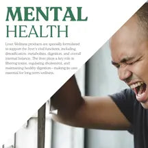 Ayurvedic Medicine for Mental Health
