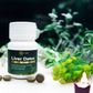 Tamra Ayurveda Liver Detox supplement bottle with tablets on a table with plants in the background