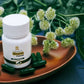 Tamra Neem supplement bottle with green capsules on a wooden plate surrounded by flowers and leaves.