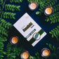 Tamra Ayurveda Amalaki capsule for immunity and daily wellness support